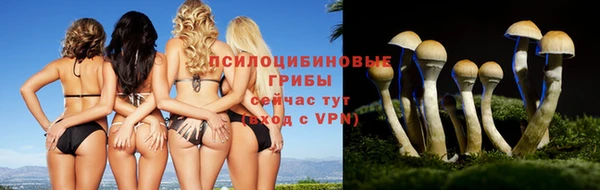 мет Кинешма