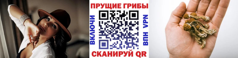 Галлюциногенные грибы GOLDEN TEACHER  Купить закладки  Зерноград 
